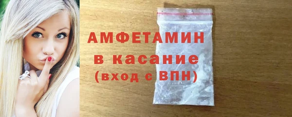 ГАЛЛЮЦИНОГЕННЫЕ ГРИБЫ Гусев