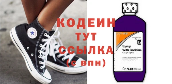 ГАЛЛЮЦИНОГЕННЫЕ ГРИБЫ Гусев