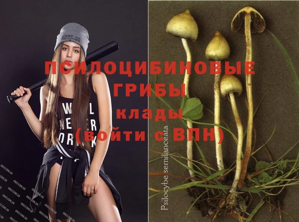 сатива Гусь-Хрустальный
