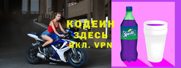 apvp Гусиноозёрск