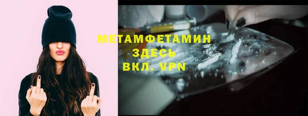сатива Гусь-Хрустальный
