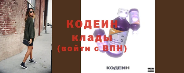 ГАЛЛЮЦИНОГЕННЫЕ ГРИБЫ Гусев