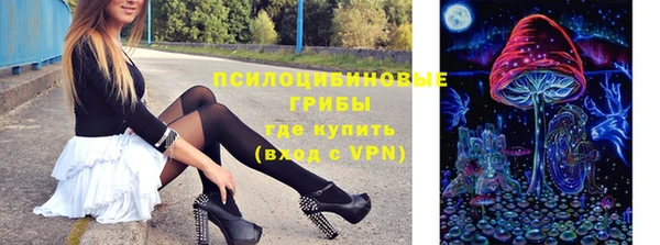 ГАЛЛЮЦИНОГЕННЫЕ ГРИБЫ Гусев