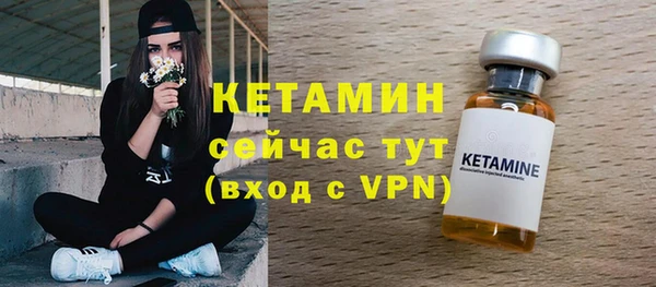 ГАЛЛЮЦИНОГЕННЫЕ ГРИБЫ Гусев