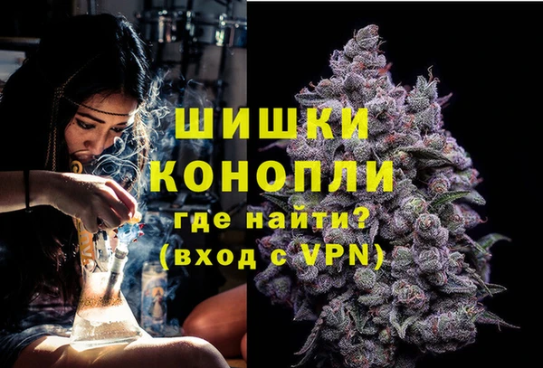 ГАЛЛЮЦИНОГЕННЫЕ ГРИБЫ Гусев