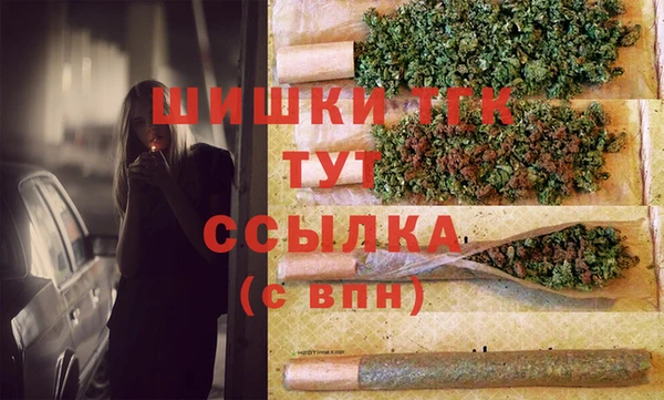 ГАЛЛЮЦИНОГЕННЫЕ ГРИБЫ Гусев