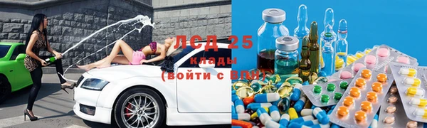 ГАЛЛЮЦИНОГЕННЫЕ ГРИБЫ Гусев
